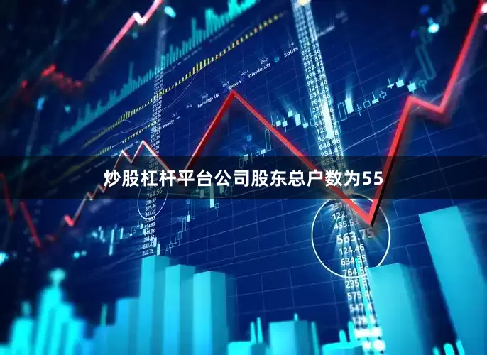 炒股杠杆平台公司股东总户数为55